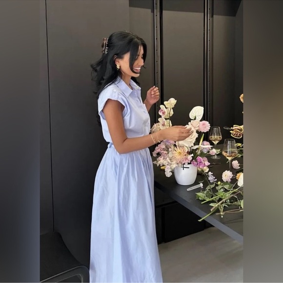 Zara Poplin Dress - Picture 6 of 9